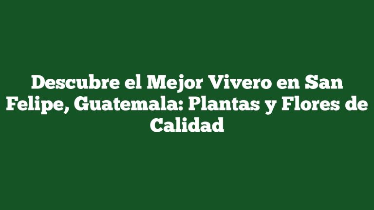Descubre el Mejor Vivero en San Felipe, Guatemala: Plantas y Flores de Calidad