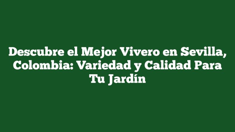 Imagen de Descubre el Mejor Vivero en Sevilla, Colombia: Variedad y Calidad Para Tu Jardín Descubre el Mejor Vivero en Sevilla, Colombia: Variedad y Calidad Para Tu Jardín