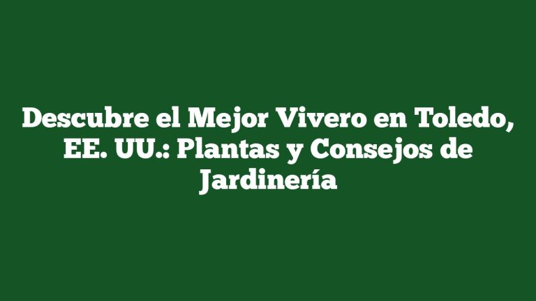 Imagen de Descubre el Mejor Vivero en Toledo, EE. UU.: Plantas y Consejos de Jardinería Descubre el Mejor Vivero en Toledo, EE. UU.: Plantas y Consejos de Jardinería