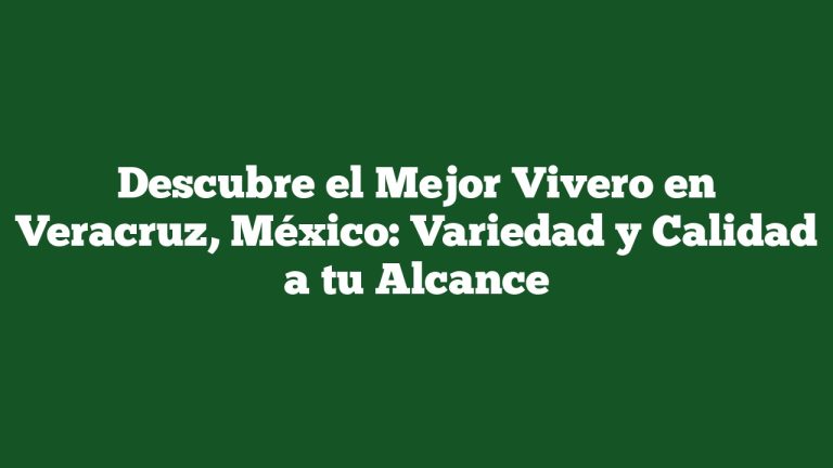 Imagen de Descubre el Mejor Vivero en Veracruz, México: Variedad y Calidad a tu Alcance Descubre el Mejor Vivero en Veracruz, México: Variedad y Calidad a tu Alcance