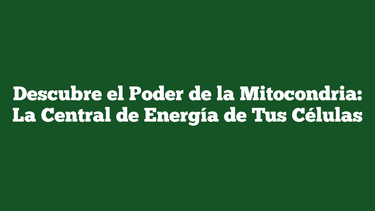 Descubre el Poder de la Mitocondria: La Central de Energía de Tus Células