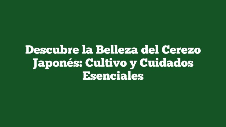 Imagen de Descubre la Belleza del Cerezo Japonés: Cultivo y Cuidados Esenciales Descubre la Belleza del Cerezo Japonés: Cultivo y Cuidados Esenciales
