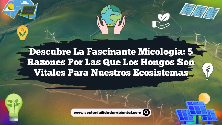 Descubre la Fascinante Micología: 5 Razones por las que los Hongos Son Vitales para Nuestros Ecosistemas