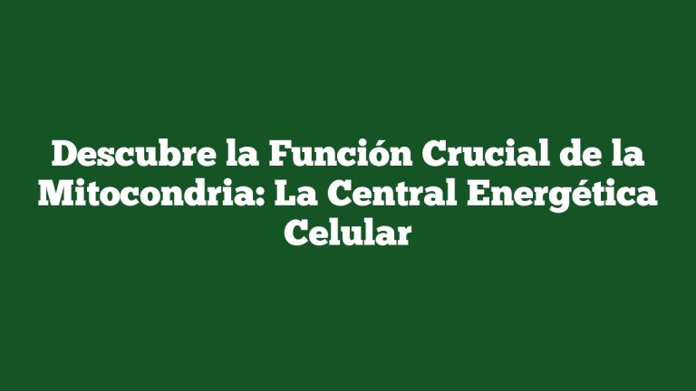 Descubre la Función Crucial de la Mitocondria: La Central Energética Celular