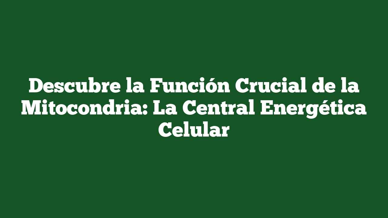 Descubre la Función Crucial de la Mitocondria: La Central Energética Celular