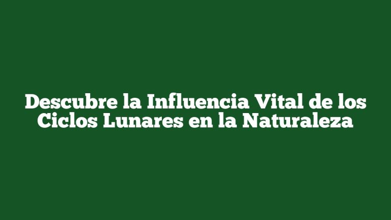 Descubre la Influencia Vital de los Ciclos Lunares en la Naturaleza