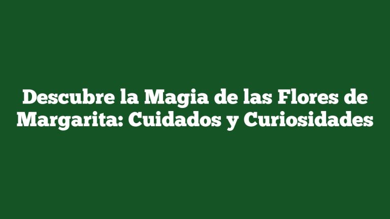 Imagen de Descubre la Magia de las Flores de Margarita: Cuidados y Curiosidades Descubre la Magia de las Flores de Margarita: Cuidados y Curiosidades