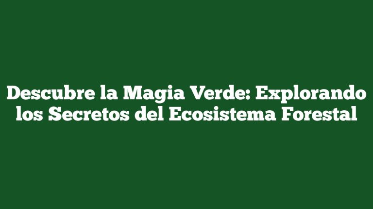 Imagen de Descubre la Magia Verde: Explorando los Secretos del Ecosistema Forestal Descubre la Magia Verde: Explorando los Secretos del Ecosistema Forestal