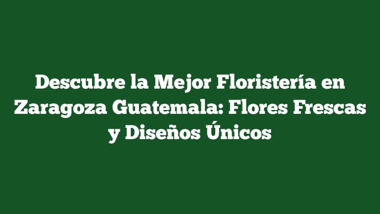 Imagen de Descubre la Mejor Floristería en Zaragoza Guatemala: Flores Frescas y Diseños Únicos Descubre la Mejor Floristería en Zaragoza Guatemala: Flores Frescas y Diseños Únicos