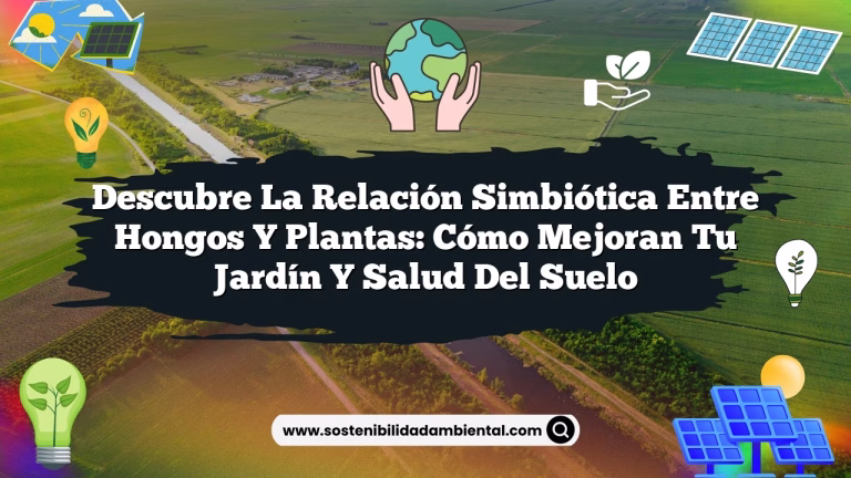Imagen de Descubre la Relación Simbiótica entre Hongos y Plantas: Cómo Mejoran tu Jardín y Salud del Suelo Descubre la Relación Simbiótica entre Hongos y Plantas: Cómo Mejoran tu Jardín y Salud del Suelo