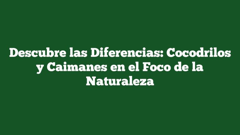 Imagen de Descubre las Diferencias: Cocodrilos y Caimanes en el Foco de la Naturaleza Descubre las Diferencias: Cocodrilos y Caimanes en el Foco de la Naturaleza