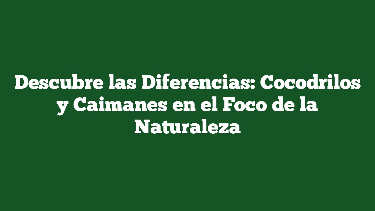 Descubre las Diferencias: Cocodrilos y Caimanes en el Foco de la Naturaleza
