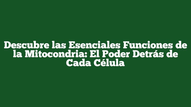 Imagen de Descubre las Esenciales Funciones de la Mitocondria: El Poder Detrás de Cada Célula Descubre las Esenciales Funciones de la Mitocondria: El Poder Detrás de Cada Célula