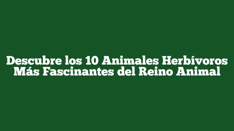 Imagen de Descubre los 10 Animales Herbívoros Más Fascinantes del Reino Animal Descubre los 10 Animales Herbívoros Más Fascinantes del Reino Animal