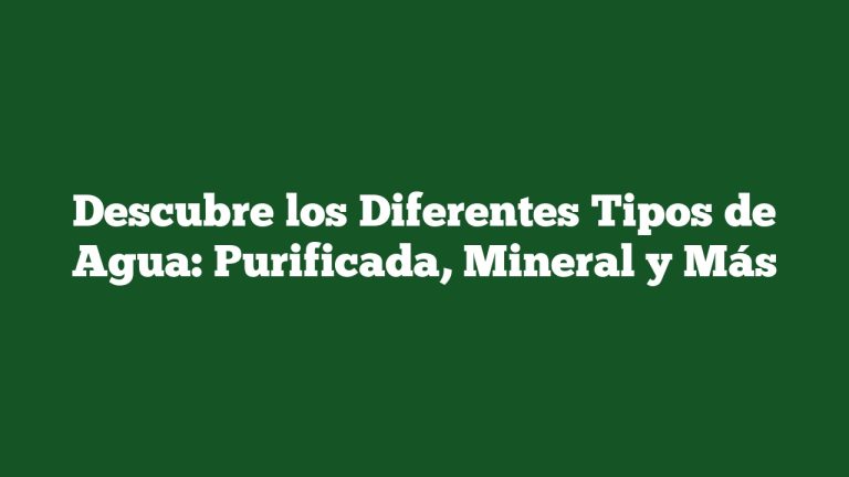 Imagen de Descubre los Diferentes Tipos de Agua: Purificada, Mineral y Más Descubre los Diferentes Tipos de Agua: Purificada, Mineral y Más