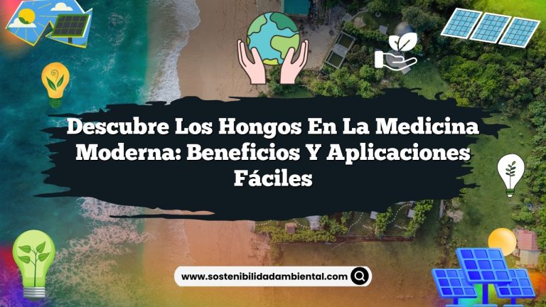 Descubre los hongos en la medicina moderna: beneficios y aplicaciones fáciles
