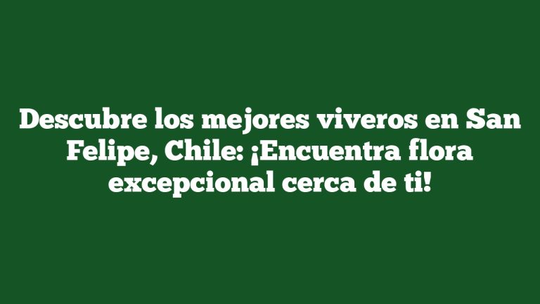 Descubre los mejores viveros en San Felipe, Chile: ¡Encuentra flora excepcional cerca de ti!