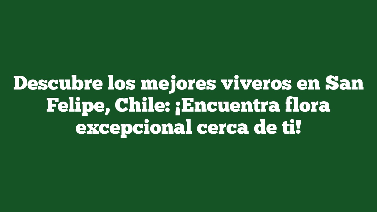 Descubre los mejores viveros en San Felipe, Chile: ¡Encuentra flora excepcional cerca de ti!