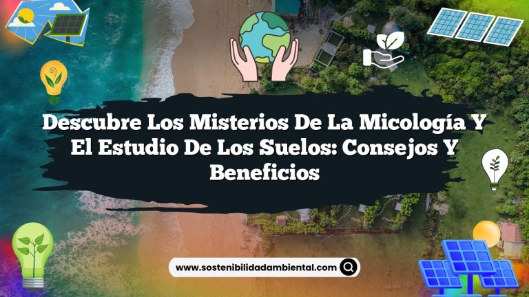 Imagen de Descubre los Misterios de la Micología y el Estudio de los Suelos: Consejos y Beneficios Descubre los Misterios de la Micología y el Estudio de los Suelos: Consejos y Beneficios