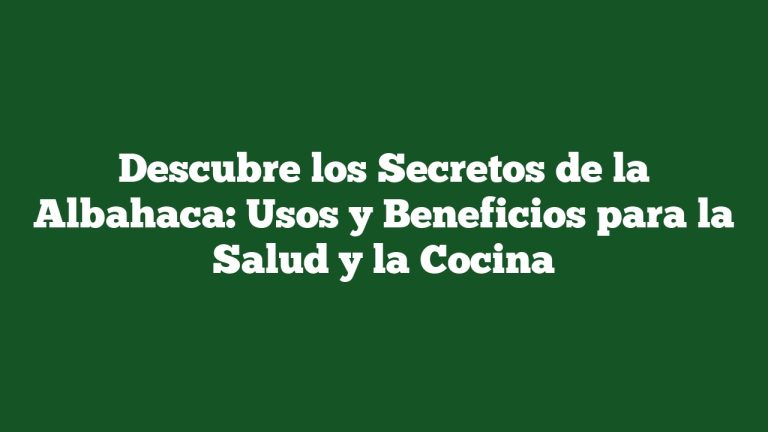 Imagen de Descubre los Secretos de la Albahaca: Usos y Beneficios para la Salud y la Cocina Descubre los Secretos de la Albahaca: Usos y Beneficios para la Salud y la Cocina