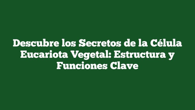 Imagen de Descubre los Secretos de la Célula Eucariota Vegetal: Estructura y Funciones Clave Descubre los Secretos de la Célula Eucariota Vegetal: Estructura y Funciones Clave