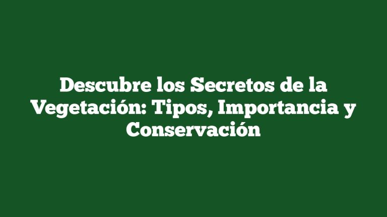 Imagen de Descubre los Secretos de la Vegetación: Tipos, Importancia y Conservación Descubre los Secretos de la Vegetación: Tipos, Importancia y Conservación