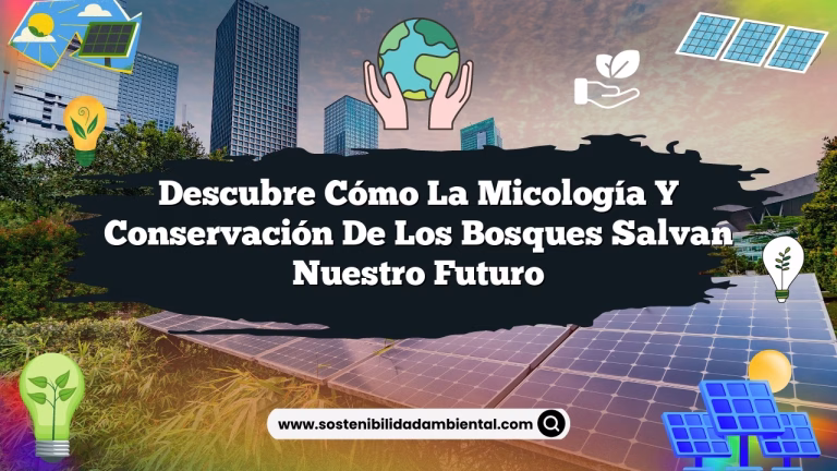 Descubre Cómo la Micología y Conservación de los Bosques Salvan Nuestro Futuro