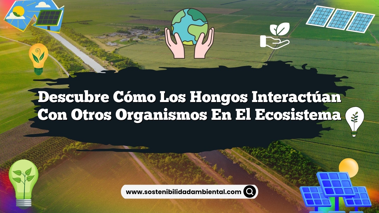 Descubre cómo los hongos interactúan con otros organismos en el ecosistema
