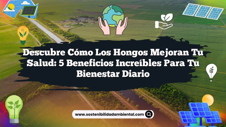 Imagen de Descubre Cómo los Hongos Mejoran Tu Salud: 5 Beneficios Increíbles para tu Bienestar Diario Descubre Cómo los Hongos Mejoran Tu Salud: 5 Beneficios Increíbles para tu Bienestar Diario