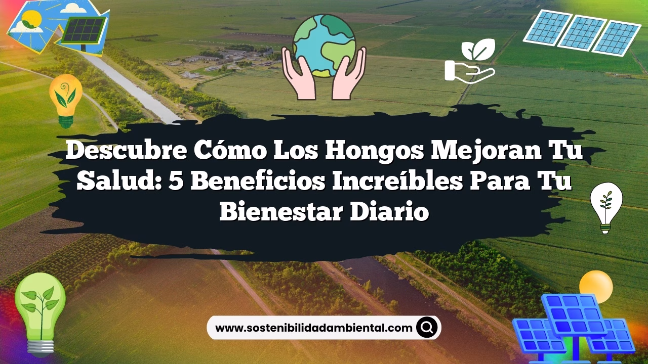 Descubre Cómo los Hongos Mejoran Tu Salud: 5 Beneficios Increíbles para tu Bienestar Diario