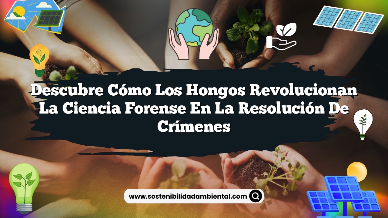 Descubre Cómo Los Hongos Revolucionan la Ciencia Forense en la Resolución de Crímenes