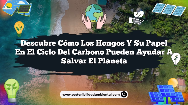 Descubre Cómo Los Hongos y Su Papel en el Ciclo del Carbono Pueden Ayudar a Salvar el Planeta