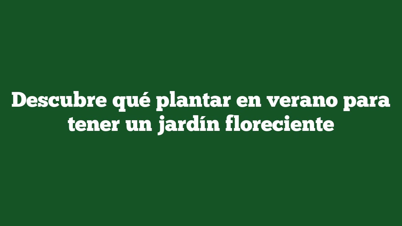 Descubre qué plantar en verano para tener un jardín floreciente