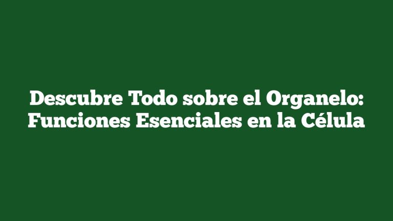 Imagen de Descubre Todo sobre el Organelo: Funciones Esenciales en la Célula Descubre Todo sobre el Organelo: Funciones Esenciales en la Célula
