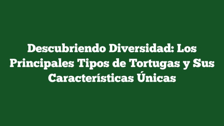 Descubriendo Diversidad: Los Principales Tipos de Tortugas y Sus Características Únicas