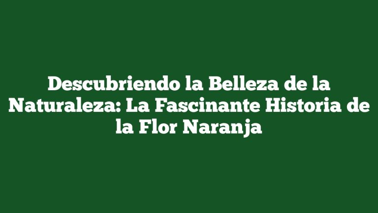 Imagen de Descubriendo la Belleza de la Naturaleza: La Fascinante Historia de la Flor Naranja Descubriendo la Belleza de la Naturaleza: La Fascinante Historia de la Flor Naranja