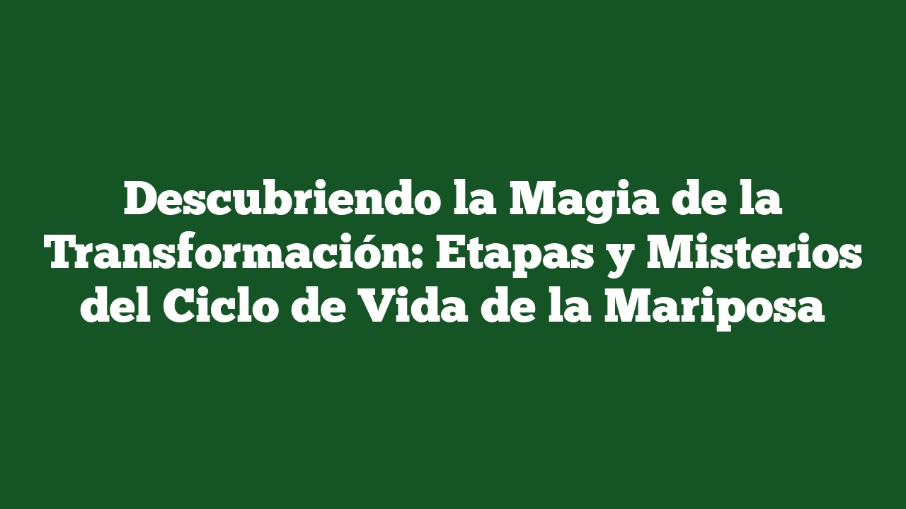 Descubriendo la Magia de la Transformación: Etapas y Misterios del Ciclo de Vida de la Mariposa