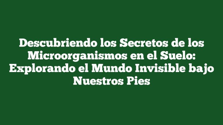 Descubriendo los Secretos de los Microorganismos en el Suelo: Explorando el Mundo Invisible bajo Nuestros Pies