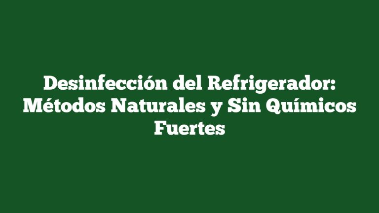 Desinfección del Refrigerador: Métodos Naturales y Sin Químicos Fuertes