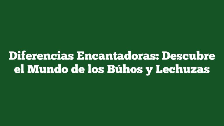 Imagen de Diferencias Encantadoras: Descubre el Mundo de los Búhos y Lechuzas Diferencias Encantadoras: Descubre el Mundo de los Búhos y Lechuzas
