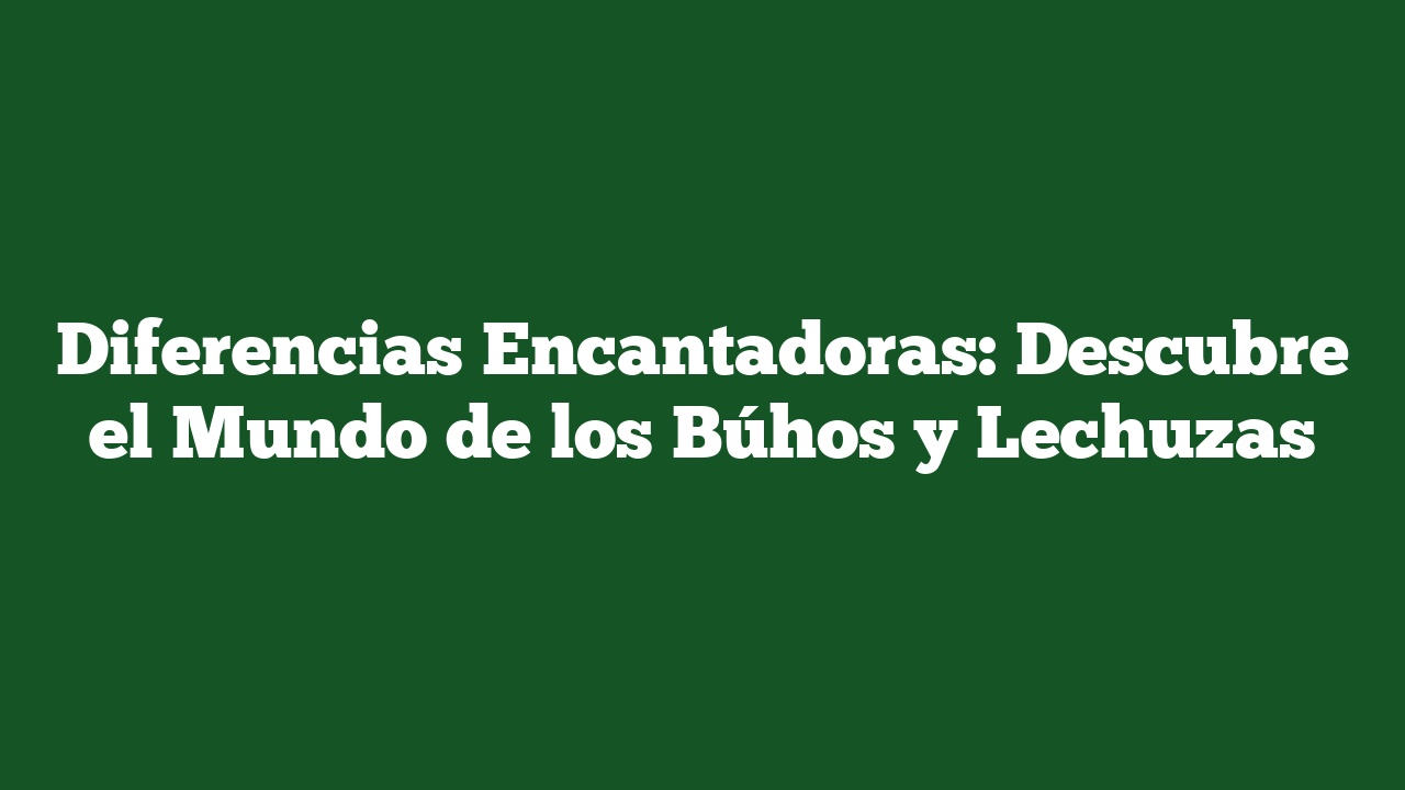 Diferencias Encantadoras: Descubre el Mundo de los Búhos y Lechuzas