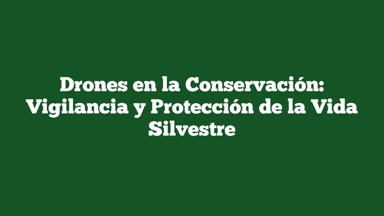 Drones en la Conservación: Vigilancia y Protección de la Vida Silvestre