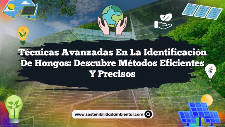 Imagen de Técnicas avanzadas en la identificación de hongos: Descubre Métodos Eficientes y Precisos Técnicas avanzadas en la identificación de hongos: Descubre Métodos Eficientes y Precisos
