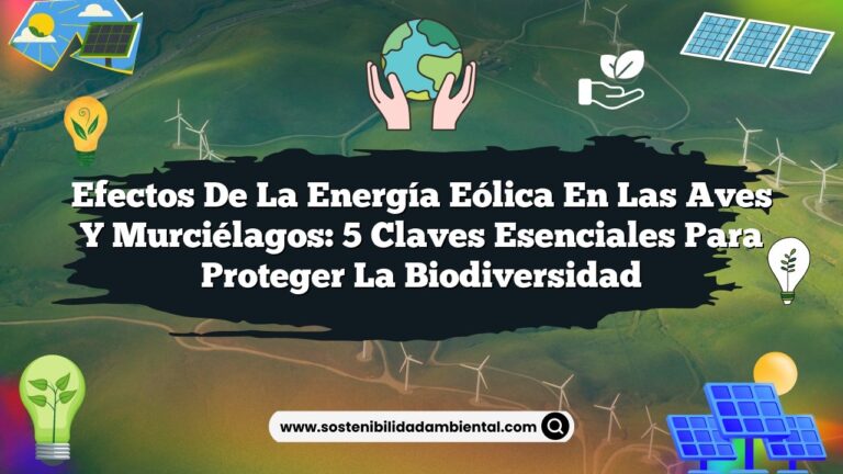 Efectos de la Energía Eólica en las Aves y Murciélagos: 5 Claves Esenciales para Proteger la Biodiversidad