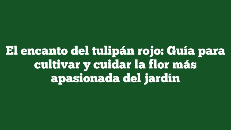 Imagen de El encanto del tulipán rojo: Guía para cultivar y cuidar la flor más apasionada del jardín El encanto del tulipán rojo: Guía para cultivar y cuidar la flor más apasionada del jardín