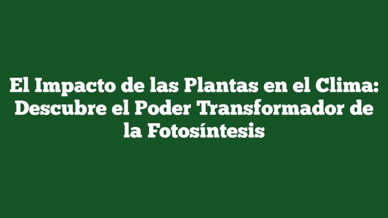 El Impacto de las Plantas en el Clima: Descubre el Poder Transformador de la Fotosíntesis