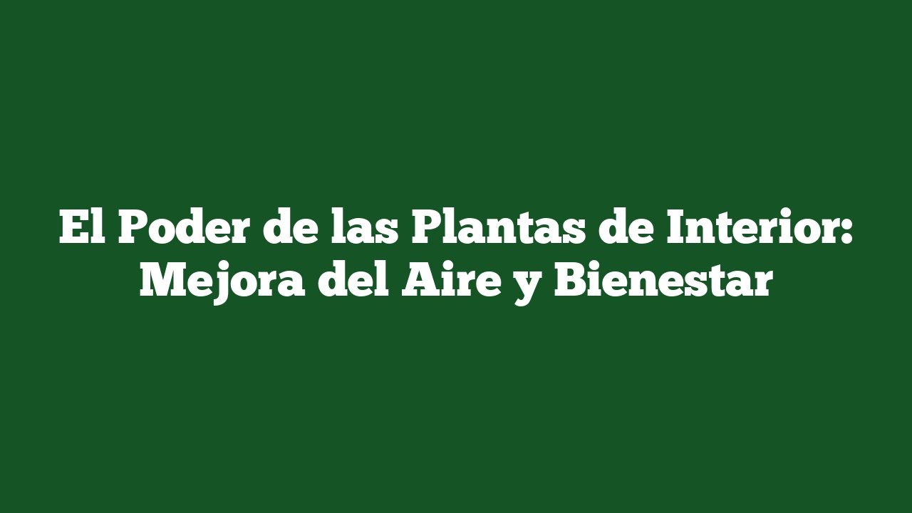 El Poder de las Plantas de Interior: Mejora del Aire y Bienestar