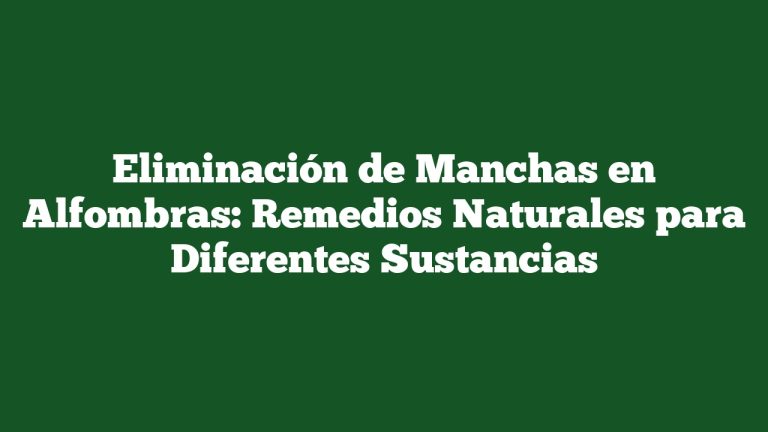 Imagen de Eliminación de Manchas en Alfombras: Remedios Naturales para Diferentes Sustancias Eliminación de Manchas en Alfombras: Remedios Naturales para Diferentes Sustancias