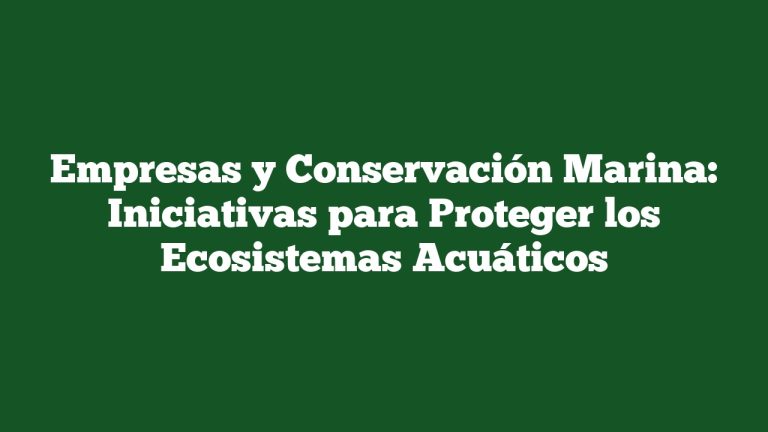 Empresas y Conservación Marina: Iniciativas para Proteger los Ecosistemas Acuáticos