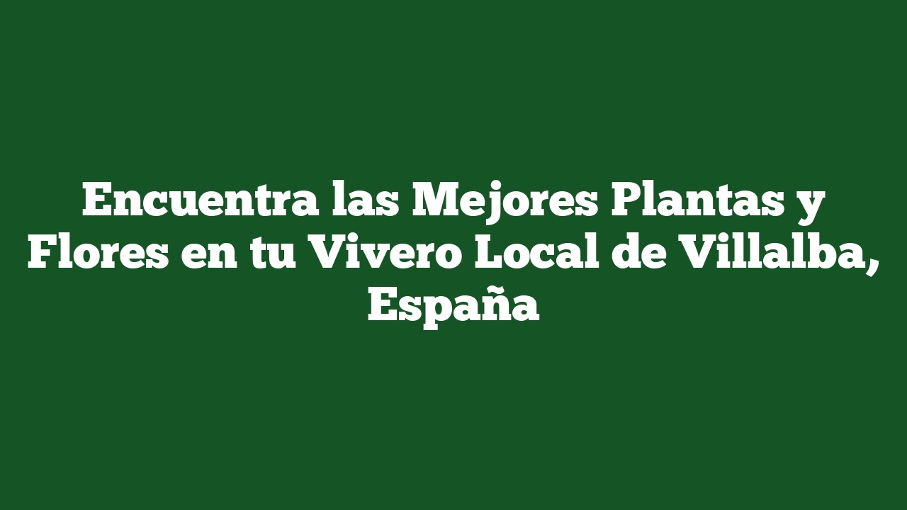 Encuentra las Mejores Plantas y Flores en tu Vivero Local de Villalba, España